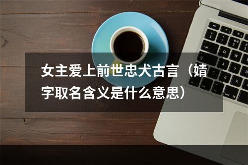 女主爱上前世忠犬古言（婧字取名含义是什么意思）