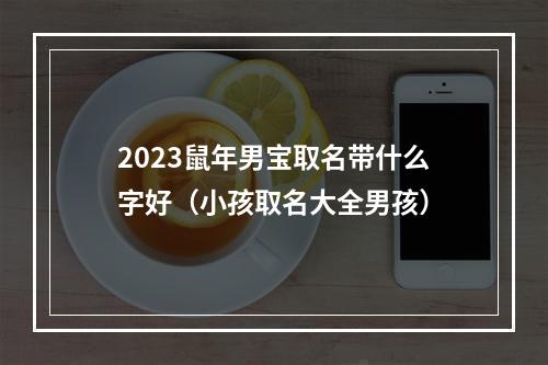 2023鼠年男宝取名带什么字好（小孩取名大全男孩）