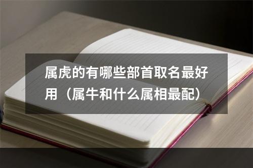 属虎的有哪些部首取名最好用（属牛和什么属相最配）