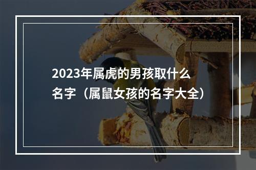 2023年属虎的男孩取什么名字（属鼠女孩的名字大全）