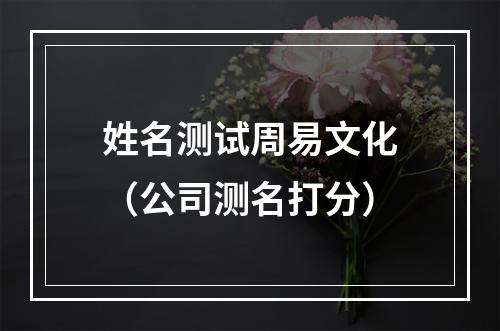 姓名测试周易文化（公司测名打分）