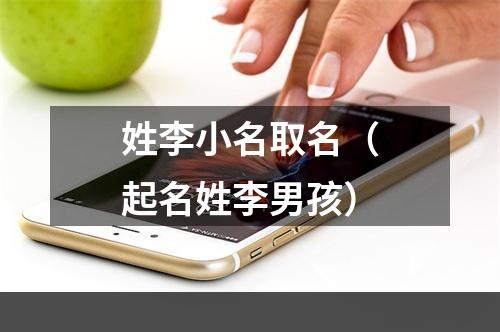 姓李小名取名（起名姓李男孩）