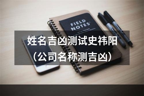 姓名吉凶测试史祎阳（公司名称测吉凶）