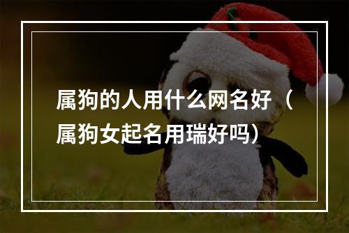 属狗的人用什么网名好（属狗女起名用瑞好吗）