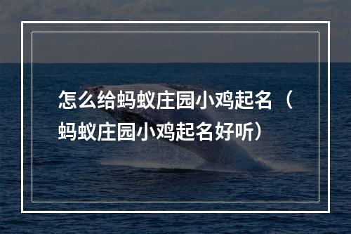 怎么给蚂蚁庄园小鸡起名（蚂蚁庄园小鸡起名好听）