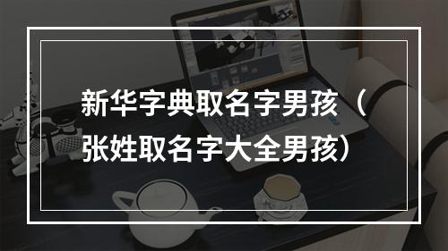 新华字典取名字男孩（张姓取名字大全男孩）