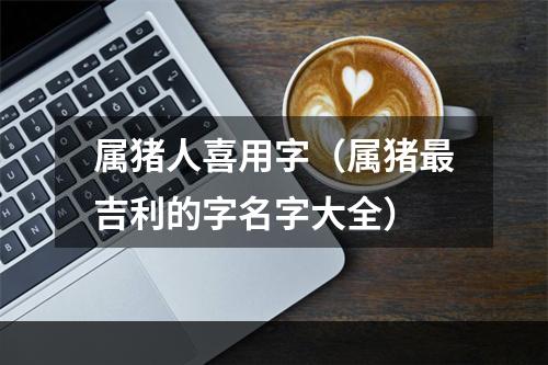 属猪人喜用字（属猪最吉利的字名字大全）