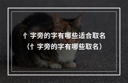 忄字旁的字有哪些适合取名（忄字旁的字有哪些取名）