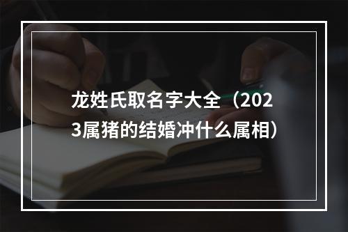 龙姓氏取名字大全（2023属猪的结婚冲什么属相）