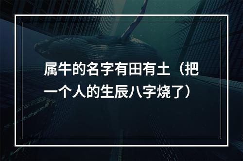 属牛的名字有田有土（把一个人的生辰八字烧了）