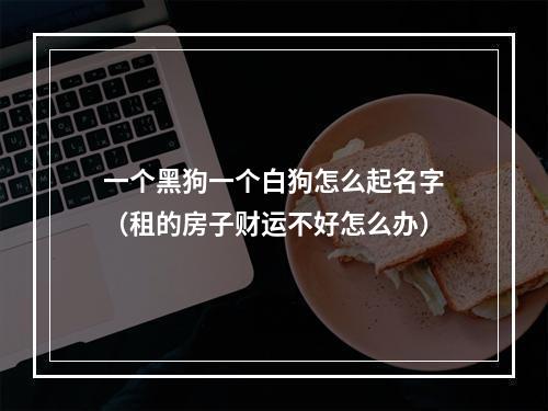 一个黑狗一个白狗怎么起名字（租的房子财运不好怎么办）