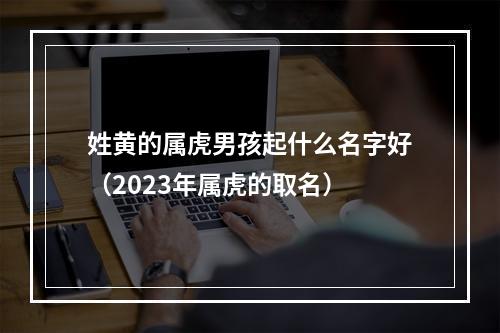 姓黄的属虎男孩起什么名字好（2023年属虎的取名）