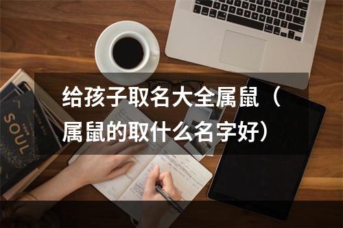给孩子取名大全属鼠（属鼠的取什么名字好）