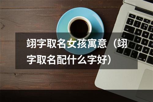 翊字取名女孩寓意（翊字取名配什么字好）