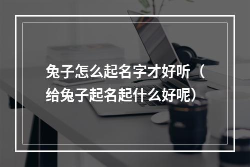 兔子怎么起名字才好听（给兔子起名起什么好呢）