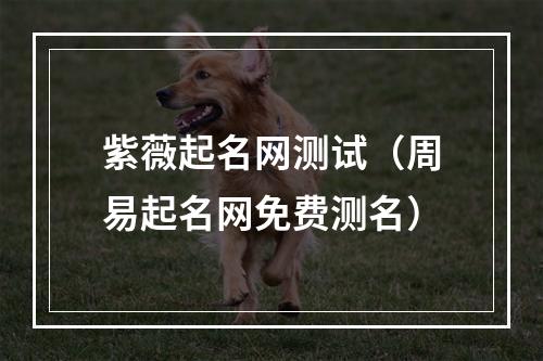 紫薇起名网测试（周易起名网免费测名）