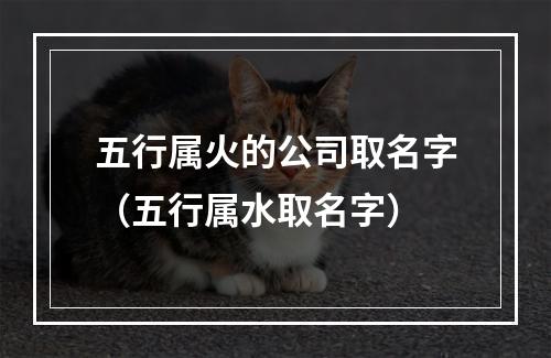 五行属火的公司取名字（五行属水取名字）