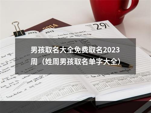 男孩取名大全免费取名2023周（姓周男孩取名单字大全）