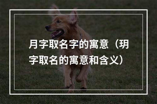 月字取名字的寓意（玥字取名的寓意和含义）