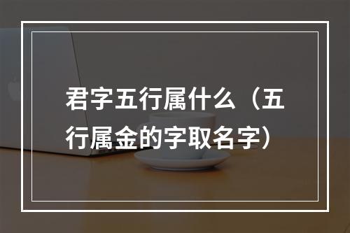 君字五行属什么（五行属金的字取名字）
