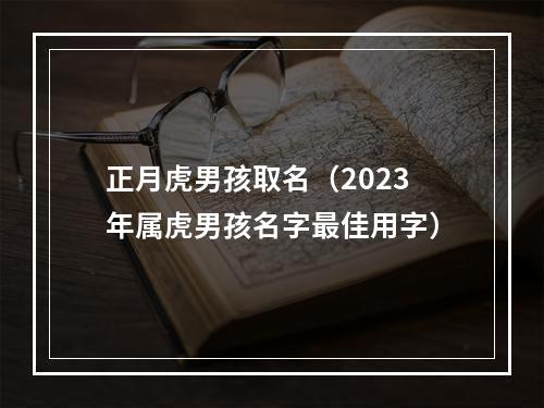 正月虎男孩取名（2023年属虎男孩名字最佳用字）