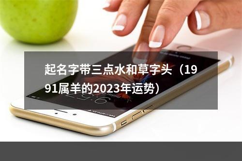 起名字带三点水和草字头（1991属羊的2023年运势）