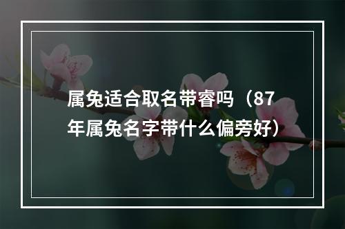 属兔适合取名带睿吗（87年属兔名字带什么偏旁好）