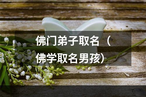 佛门弟子取名（佛学取名男孩）