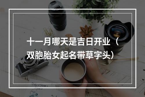 十一月哪天是吉日开业（双胞胎女起名带草字头）
