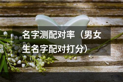 名字测配对率（男女生名字配对打分）