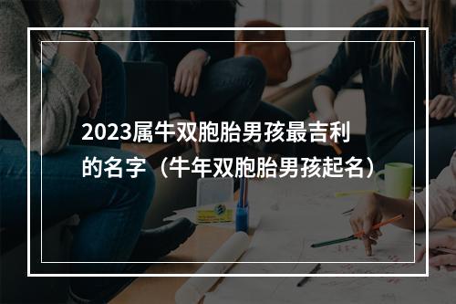 2023属牛双胞胎男孩最吉利的名字（牛年双胞胎男孩起名）