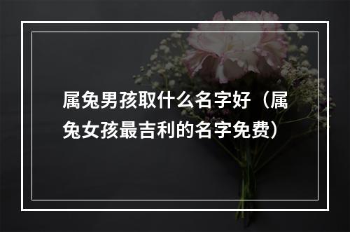 属兔男孩取什么名字好（属兔女孩最吉利的名字免费）