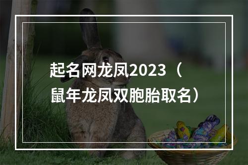 起名网龙凤2023（鼠年龙凤双胞胎取名）
