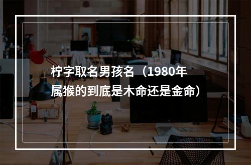 柠字取名男孩名（1980年属猴的到底是木命还是金命）