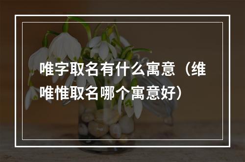 唯字取名有什么寓意（维唯惟取名哪个寓意好）