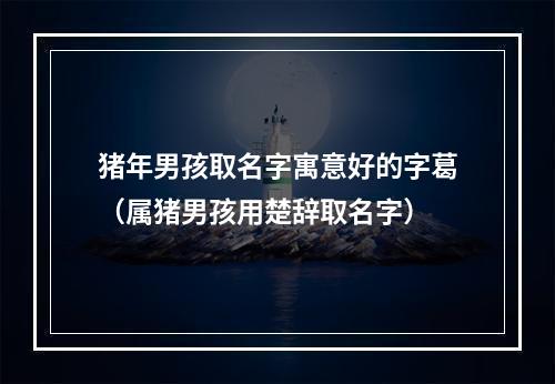 猪年男孩取名字寓意好的字葛（属猪男孩用楚辞取名字）