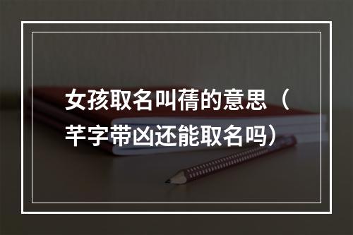 女孩取名叫蒨的意思（芊字带凶还能取名吗）