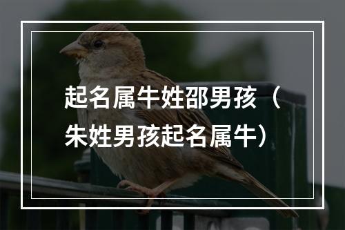 起名属牛姓邵男孩（朱姓男孩起名属牛）