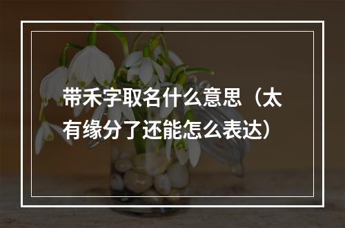 带禾字取名什么意思（太有缘分了还能怎么表达）
