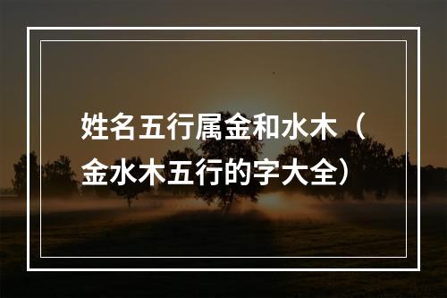 姓名五行属金和水木（金水木五行的字大全）
