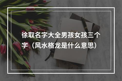 徐取名字大全男孩女孩三个字（风水格龙是什么意思）