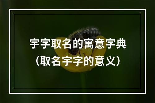 宇字取名的寓意字典（取名宇字的意义）