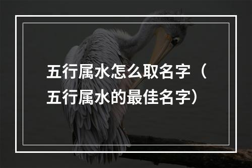 五行属水怎么取名字（五行属水的最佳名字）