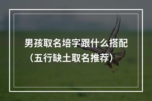 男孩取名培字跟什么搭配（五行缺土取名推荐）