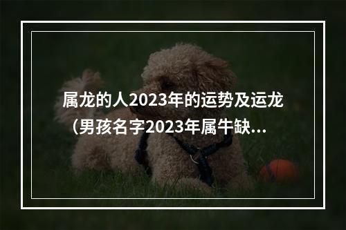 属龙的人2023年的运势及运龙（男孩名字2023年属牛缺木）