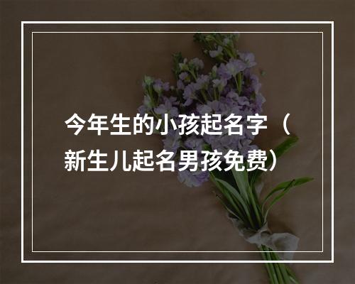 今年生的小孩起名字（新生儿起名男孩免费）