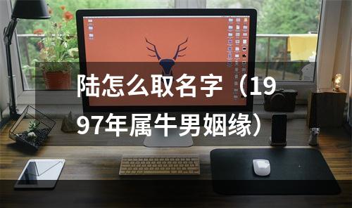 陆怎么取名字（1997年属牛男姻缘）