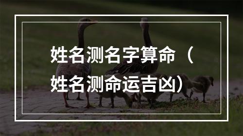 姓名测名字算命（姓名测命运吉凶）