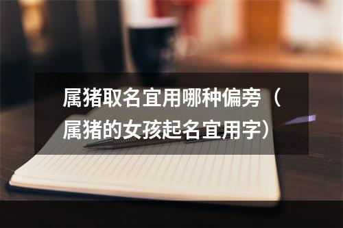 属猪取名宜用哪种偏旁（属猪的女孩起名宜用字）