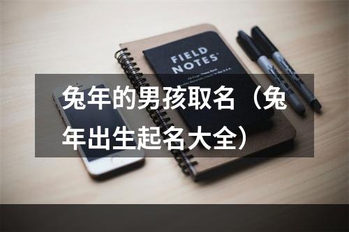 兔年的男孩取名（兔年出生起名大全）
